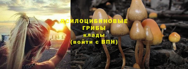 гидра Абинск