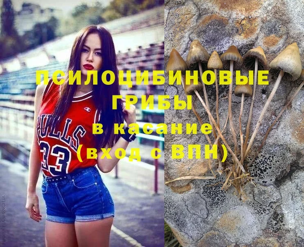индика Абаза