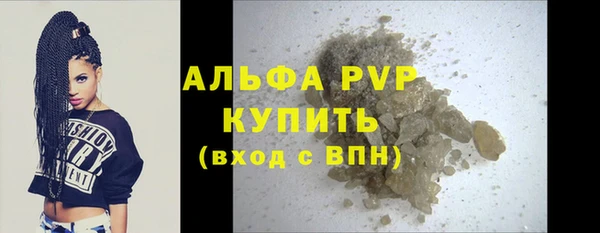индика Абаза