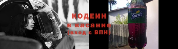 индика Абаза