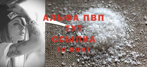индика Абаза