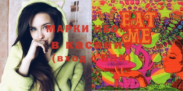 индика Абаза