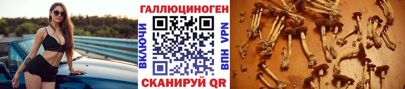 Псилоцибиновые грибы Cubensis  сколько стоит  Смоленск 